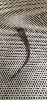 Renault Kangoo I Negative earth cable (battery)