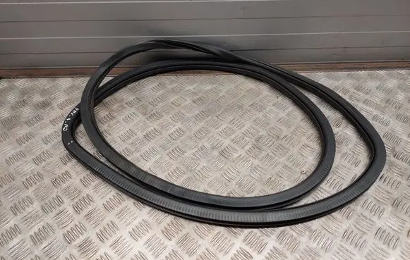 Chrysler Pacifica Front door rubber seal
