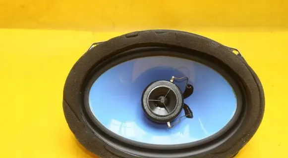 KIA Optima Rear door speaker