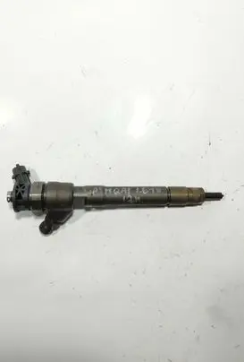Nissan Qashqai Fuel injector H1055367 0445110