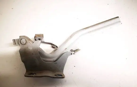 Nissan Juke I F15 Engine bonnet/hood hinges