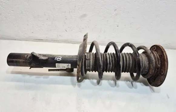 Ford S-MAX Front shock absorber with coil spring 313758