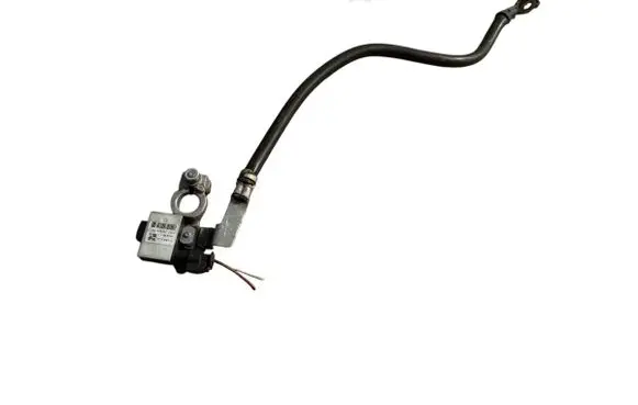 Ford Kuga II Negative earth cable (battery) F1FT10C679BA
