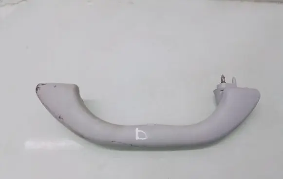 Volkswagen New Beetle Front interior roof grab handle