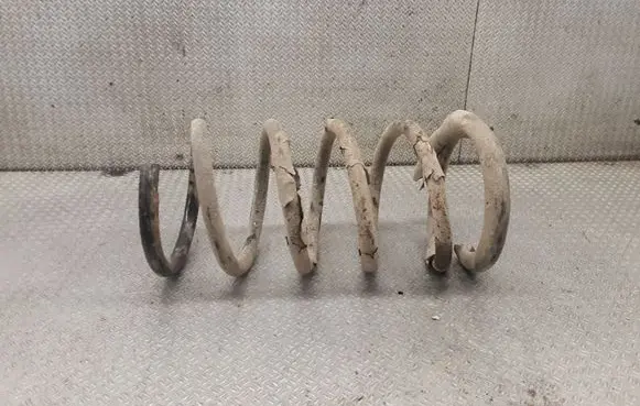 Rear coil spring