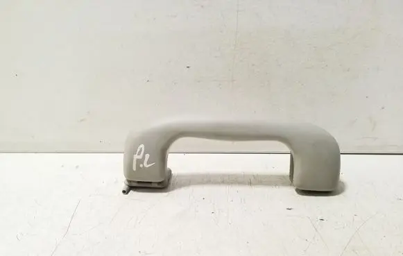Front interior roof grab handle