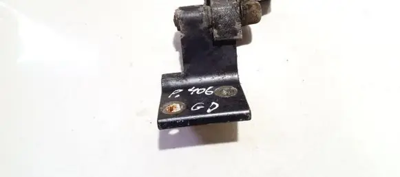 Peugeot 406 Rear door lower hinge