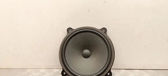 Tesla Model 3 Highland Front door speaker 107974300E
