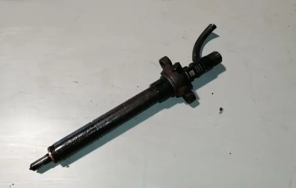 Citroen C5 Fuel injector 9688438580