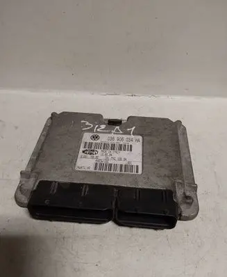 Seat Cordoba (6L) Engine control unit/module 036906034HA 4N93WG6E 6160115005