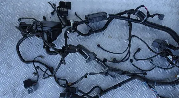 Nissan Leaf II (ZE1) Engine installation wiring loom 248B75SA3A 243843NA0A 24382EW70B