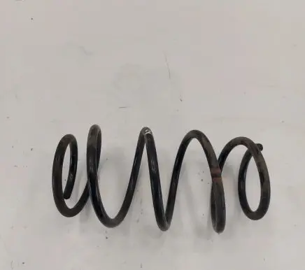 Nissan Leaf II (ZE1) Front coil spring