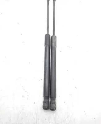 Renault Kadjar Tailgate/trunk strut/damper 
