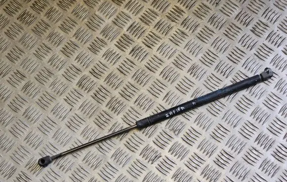 Tailgate/trunk strut/damper