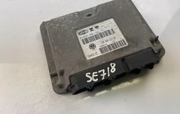 Engine control unit/module ECU