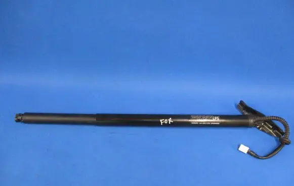 Tailgate/trunk strut/damper