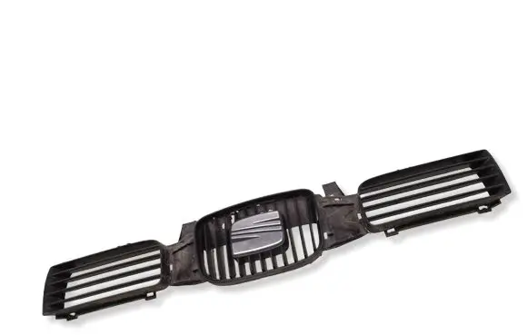 Seat Leon (1M) Front grill 6K0853679A