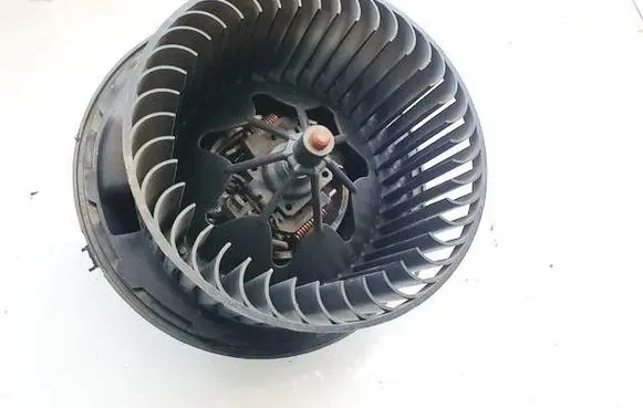 Mercedes-Benz B W245 Heater fan/blower 