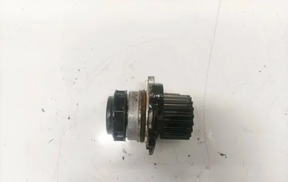 Volkswagen PASSAT B5.5 Water pump 038121019e