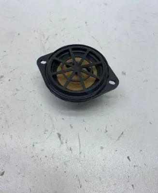 Panel speaker