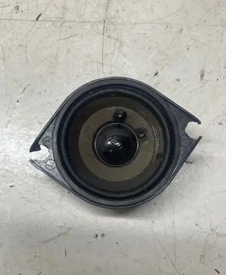 Panel speaker