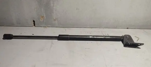 Chevrolet Captiva Rear shock absorber/damper