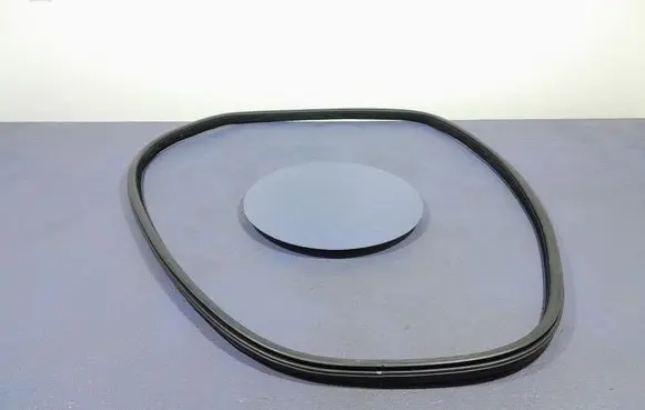 BMW X6 M Front door rubber seal 7317822