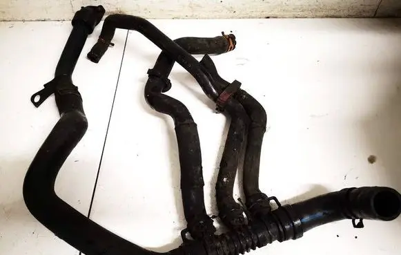 Renault Laguna II Engine coolant pipe/hose 7700113645