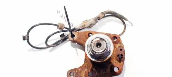 Citroen Berlingo Stub axle 