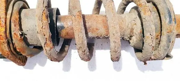 Honda CR-V Rear coil spring