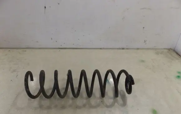 Renault Megane II Rear coil spring