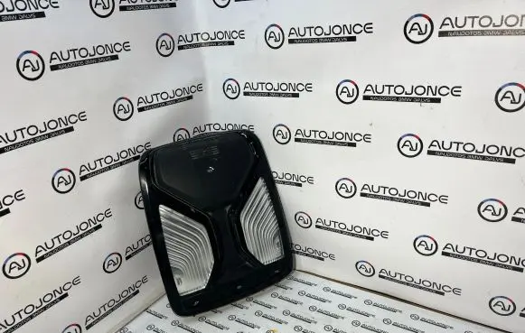 BMW 5 G30 G31 Front seat light 9472162 28630268 2180611279