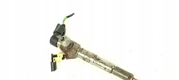 Nissan Qashqai Fuel injector H8201100113
