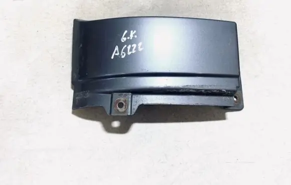 Rear/tail light trim molding