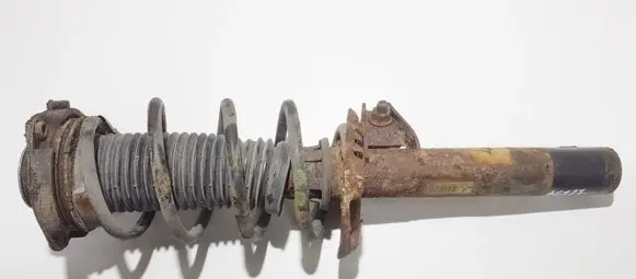 Volkswagen Golf V Front shock absorber/damper 1k0413031be