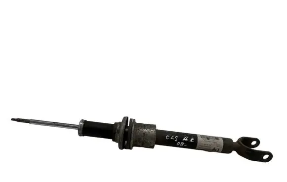Mercedes-Benz CLS C219 Front shock absorber/damper A2193201413 801404000693
