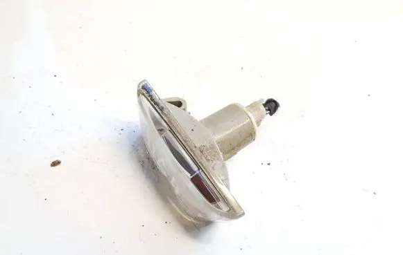 Front fender indicator light