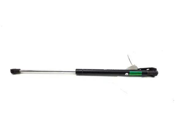 Tailgate strut