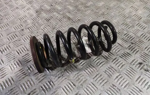Buick Encore I Rear coil spring 95174968