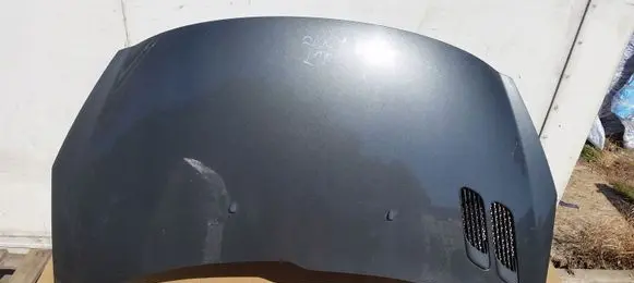 Peugeot 206+ Engine bonnet/hood 7901R5