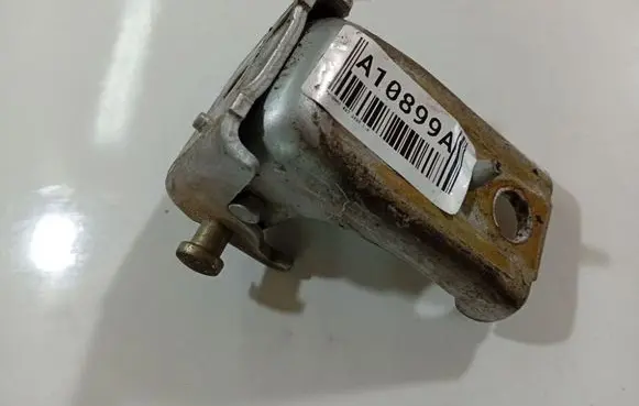 Rear door lower hinge