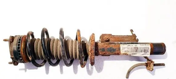 Ford Fiesta Front shock absorber/damper 