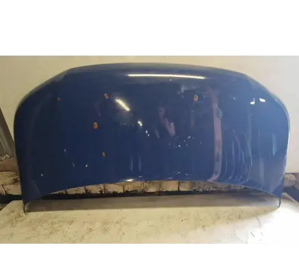 Volkswagen Multivan T5 Engine bonnet/hood