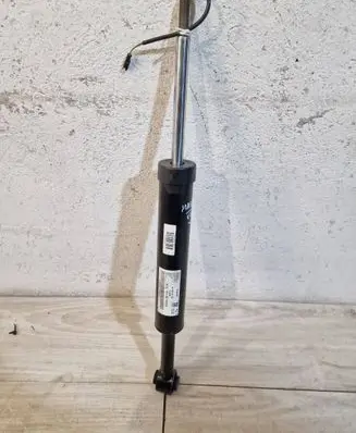 Maserati Quattroporte Rear shock absorber/damper 6700332440