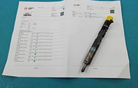 Renault Scenic II - Grand scenic II Fuel injector EJBR02101Z IMPRK1404583