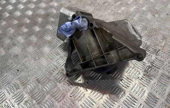 Volkswagen Touareg II Engine oil radiator 3H117021D 03H117021 3H117021C