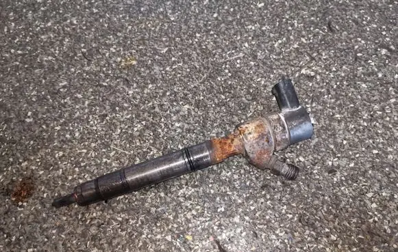 Hyundai Matrix Fuel injector 0445110222