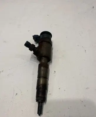 Peugeot Partner Fuel injector 0445110566