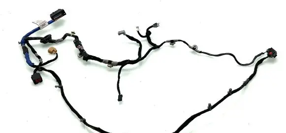 Front door wiring loom