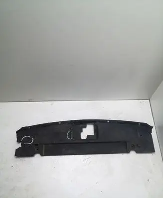 Ford Mustang VI Radiator trim 